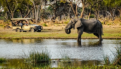 Security services in botswana