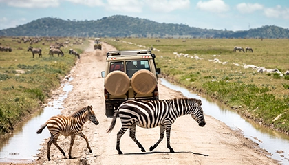 Serengeti National Park Security Team